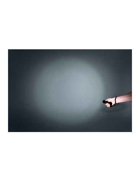 LAMPE TORCHE LED IP44 600 DHOME BT-FL8027