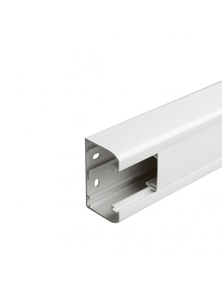 Goulotte 1 compartiment à clippage direct Mosaic 50x80mm de longueur 2m blanc LEGRAND 075601