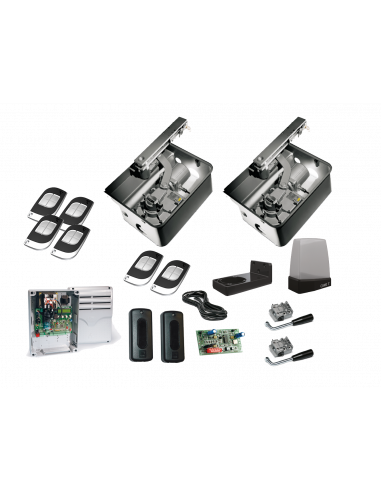 Automatisme KIT FROG230 + 3x Télecommandes supp TTS Rolling Code (FRU0243) CAME 001FRU0243