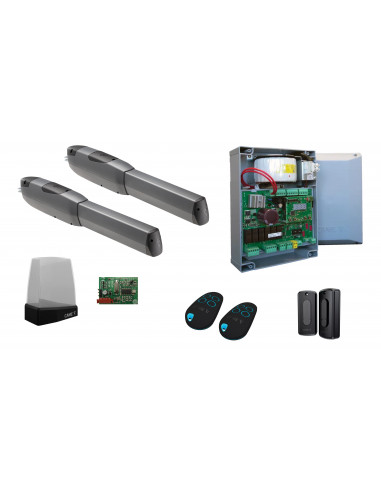Automatisme Battants Kit ATI N 3M 24V 2MOT ZLXM RAP CAME 8K01MP-058