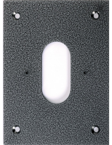 Façade inox pour pa1201 pour bpnonf60,bpnonfe60,bpnonf60c & bpnonf60cv PFBP60 AIPHONE 140008
