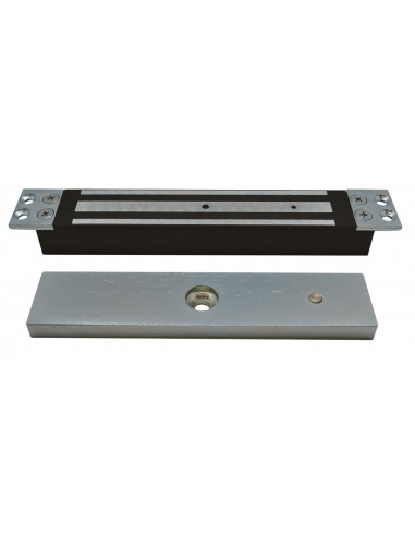 Ventouse encastrée 300 kg ou 600 lbs 12/24 v V300B AIPHONE 100320