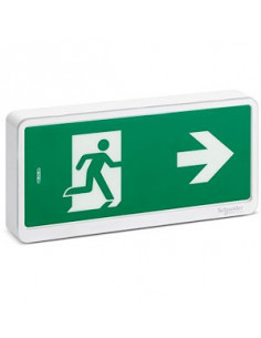 Exiway Light Bloc de secours Evacuation IP42 SATI SCHNEIDER OVA59110