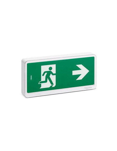 Exiway Light Bloc de secours Evacuation IP42 SATI SCHNEIDER OVA59110