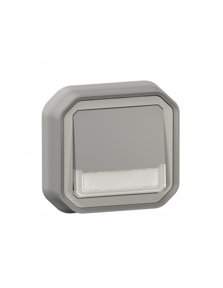 Plexo poussoir inverseur lumineux porte étiquette Gris encastré LEGRAND 070033L