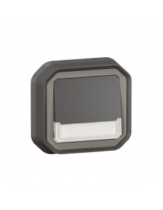 Plexo poussoir inverseur lumineux porte étiquette Anthracite encastré LEGRAND 070039L