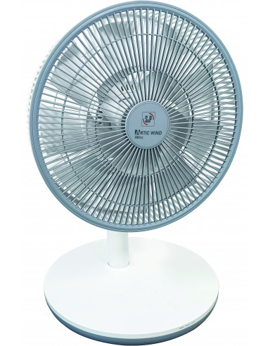 Ventilateur de table 15 vitesses D 300 mm vitesse d'air : 4,4 m/s br S&P 650122