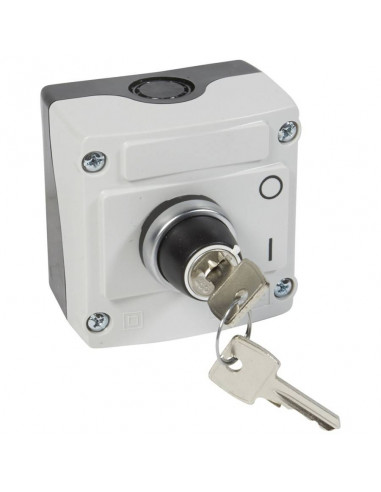 Boîte à bouton équipée Osmoz avec bouton tournant à clé n°455 2 positions avec couvercle gris LEGRAND 024217