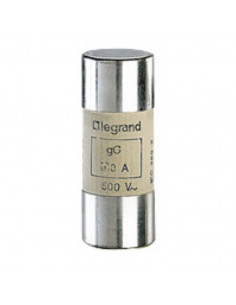 Cartouche industrielle cylindrique type gG 22x58mm sans percuteur 125A LEGRAND 015397