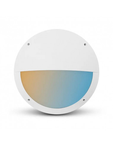 CASA ASYM HUBLOT DIAM 300MM 20W CCT BLC IP65 + DETECT RF PRE D'EXT 3A MIIDEX LIGHTING 100958