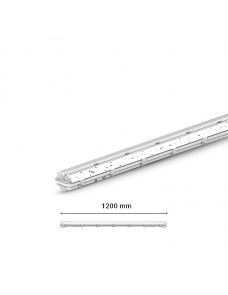 MEKONG II ETANCHE TUBE LED T8 1200 X2 PHASE NEUTRE MEME COTE (x6) MIIDEX LIGHTING 101067