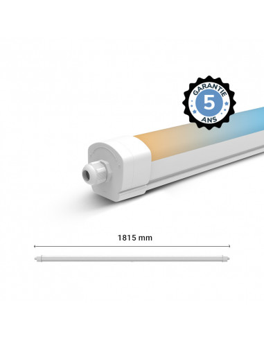 DANUBE CCT II ETANCHE LED INT1815MM 58W 3CCT IP65 IK10 TRA 5A (X6) MIIDEX LIGHTING 101082