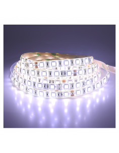 BANDEAU BLC 6000K 5M 60LED ET 14.4W/M IP65 12V PU MIIDEX LIGHTING 75075