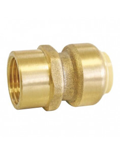Raccord laiton à clipser à visser Ecrou tournant 14MM F1 2" PUSHFIT 101523617