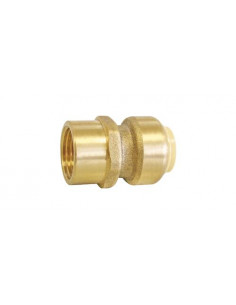 Raccord laiton à clipser à visser Ecrou tournant 16MM F1 2" PUSHFIT 101523618 2