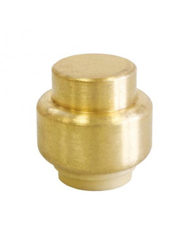 Bouchon laiton à clipser 16MM F PUSHFIT 101523903