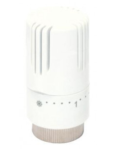 Tête à élément sensible liquide classe 1 VT05 190