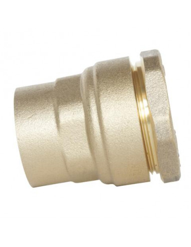 Raccord femelle pour tube PE diam 20 F1 2" 847-20-15S