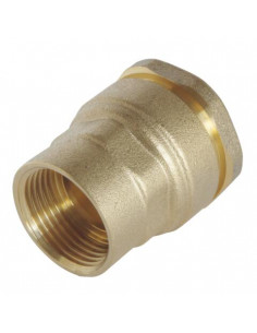 Raccord femelle pour tube PE diam 25 F1" 847-25-26S