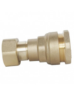 Raccord à écrou prisonnier pour tube PE diam 25 F1" 858-25-26S 2