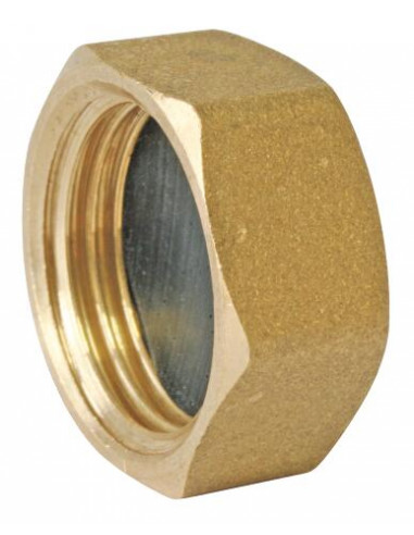 Bouchon de terminaison auto-étanche Femelle laiton Brut F1 2" 870-15