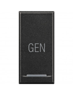 Manette Axolute MyHOME BUS symbole GEN 1 module anthracite BTICINO HS4915AC