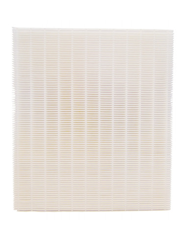 Filtre Aéraulix G4 ATLANTIC 412132