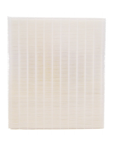 Filtre DUOLIX/DUOCOSY ATLANTIC 412193
