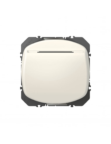 INTERRUPTEUR A BADGE BLANC DOOXIE LEGRAND 600033