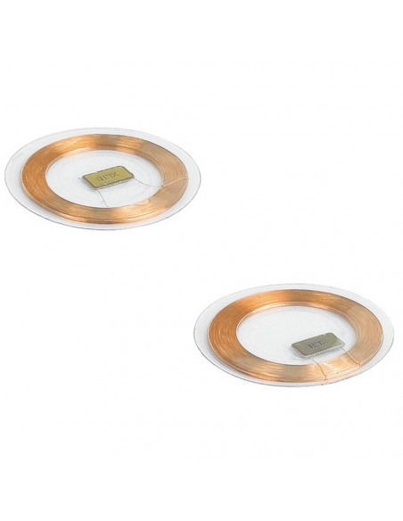 Lot de 2 puces électroniques compatibles contrôle d'accès BTICINO 348261