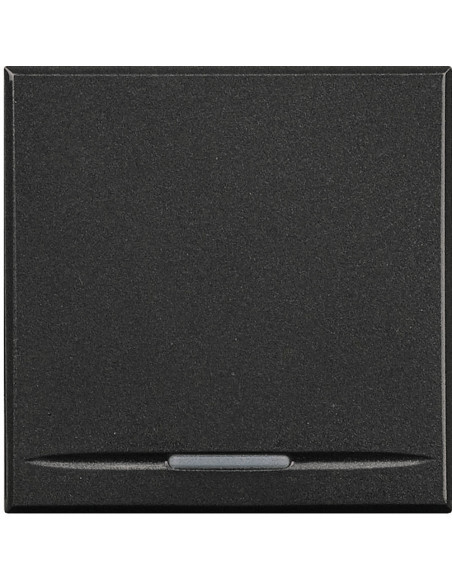 Manette Axolute MyHOME BUS neutre type poussoir 2 modules anthracite BTICINO HS4915/2