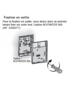 BOITINTER 900 - Delta Dore 6200271