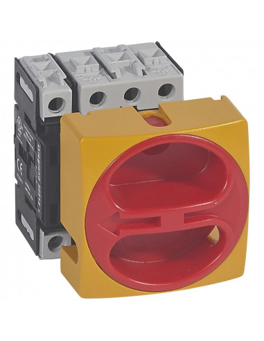 IS IV NG 25A PRES CAD LEGRAND 022112