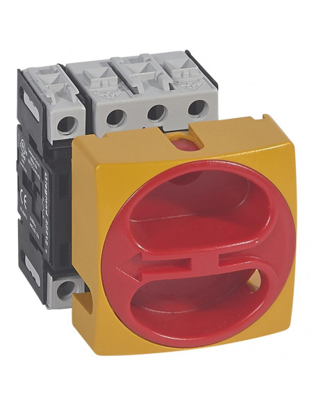 IS IV NG 25A PRES CAD LEGRAND 022112