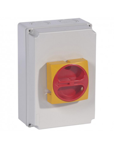 Interrupteur-sectionneur rotatif complet de proximité tripolaire 80A LEGRAND 022177