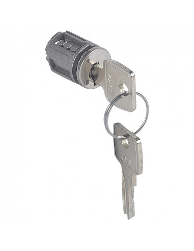 Barillet à clé pour poignée 034771 et 034772 pour armoire Altis pour clé n°421 LEGRAND 034785