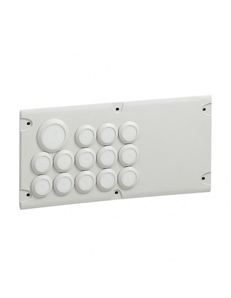 Plaque Cabstop IP55 avec 13 entrées Ø5mm à Ø14mm et 1 sortie Ø14mm à Ø24mm avec 1 réserve LEGRAND 036495