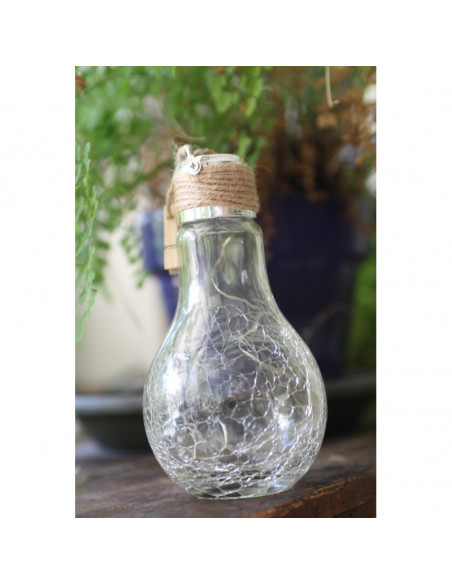 Ampoule craquelée Happy WATT ET HOME 401216