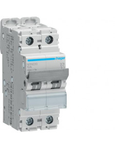 Disjoncteur 2 Pôles 25kA courbe C 20A 2 modules HAGER NRN220