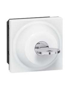 Interrupteur à clé RONIS n°601 Mosaic 2 modules avec 2 positions par contact inverseur 6A 250V blanc LEGRAND 077072 2