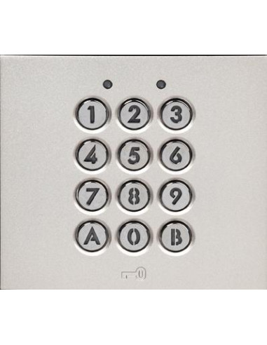 Module clavier 100 codes 2 relais avec façade pour gamme GT AIPHONE GTAC 200071