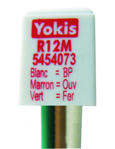 INTERFACE BP DOUBLE YOKIS R12M 5454073
