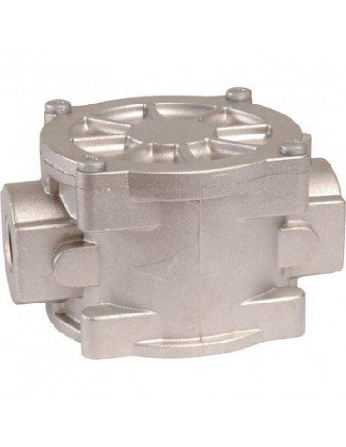 FILTRE A GAZ 50X60 SECTORIEL 095009M