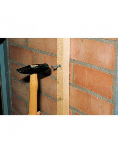 CHEVILLE CLOU VIS N5X30S /100 FISCHER 50395
