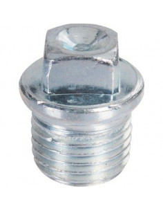 BOUCHON GALVA N°290 M15X21 29005003