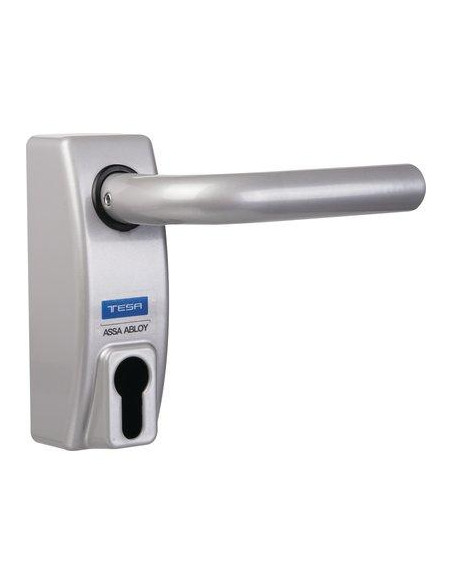 MODULE A BEQUILLE CYLINDRE ARG TESA ASSA ABLOY MMODMBSCGR