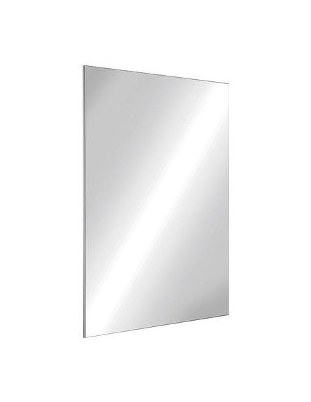 MIROIR INOX POLI 500X400X10 DELABIE 3452