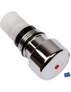 Cartouche Tempostop douche 747 DELABIE 743010
