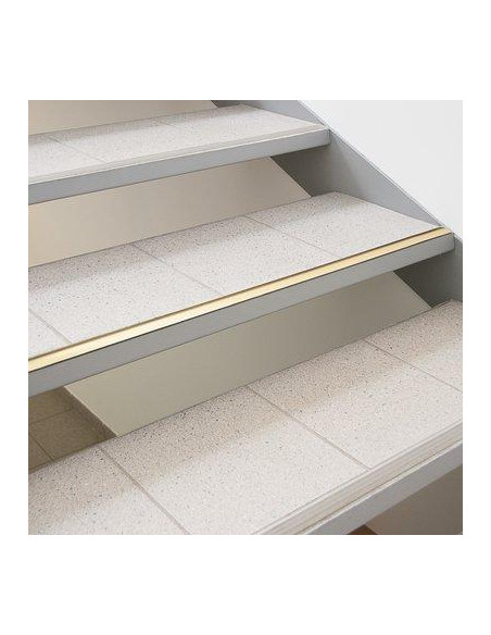 BDE SEUIL LAIT.30MM PERC.0M83 PROFILPAS 4020/CV20208