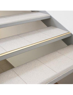 BDE SEUIL LAIT.30MM ADH. 0M73 PROFILPAS 4020/AD20213 2